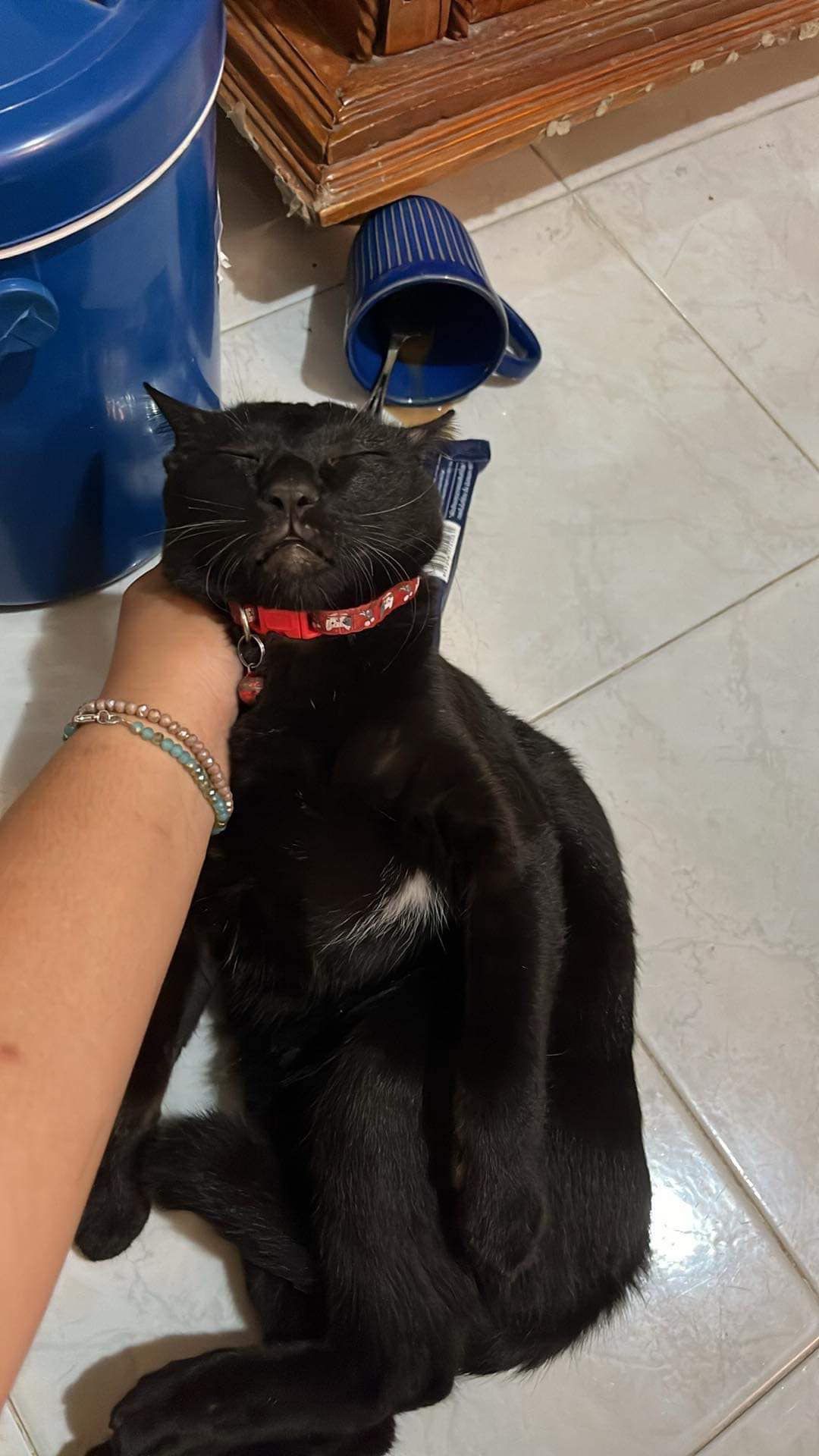 แกล้งตาย