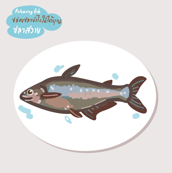 ปลาสวาย